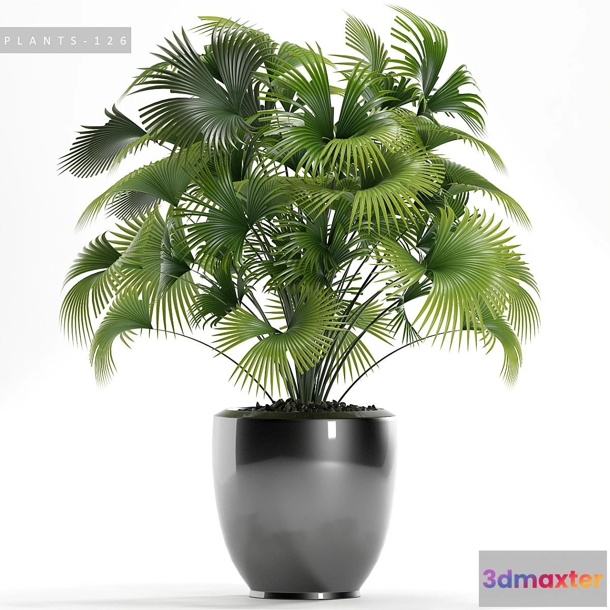 792562 - PLANTS 126 - No.2