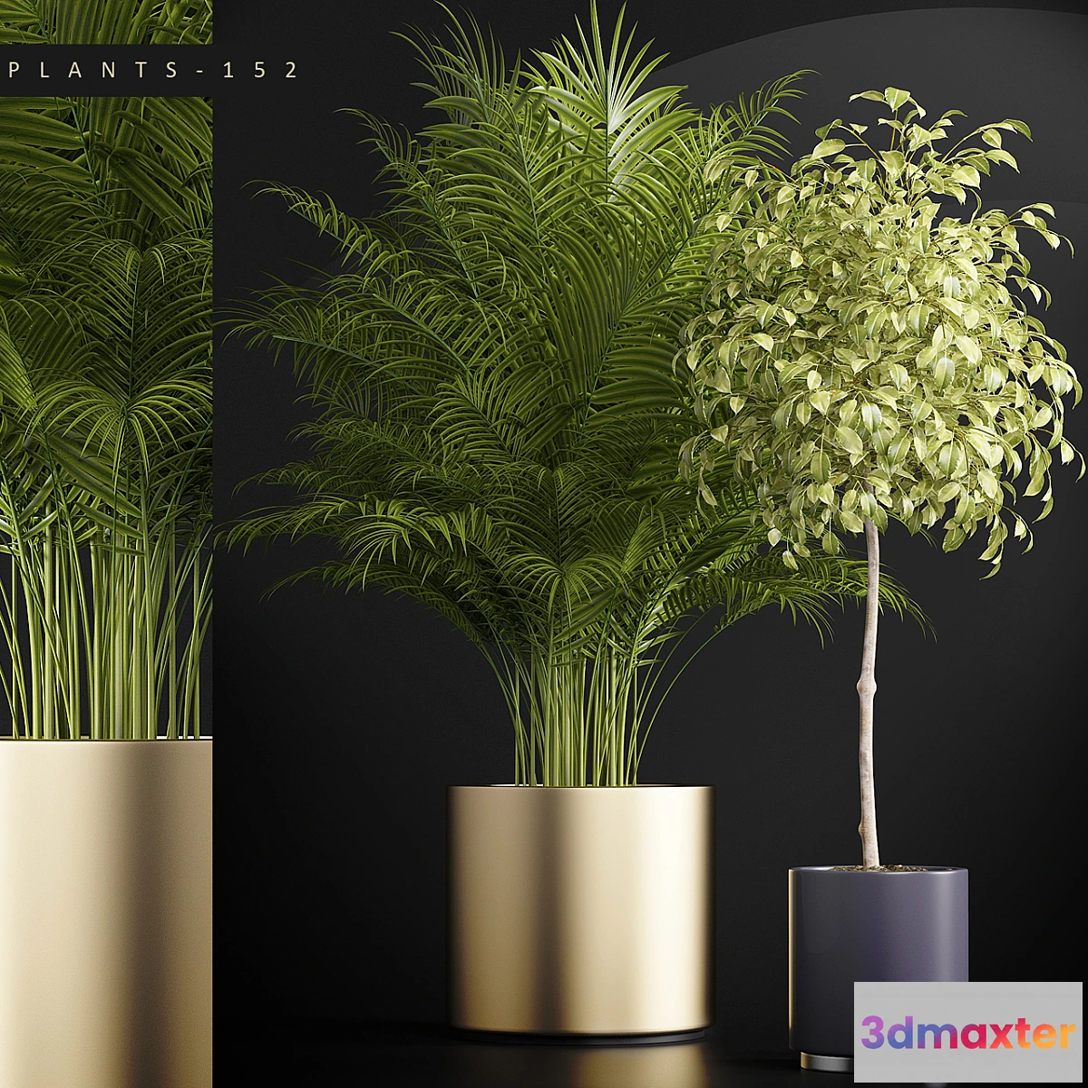 792628 - PLANTS 152 - No.2