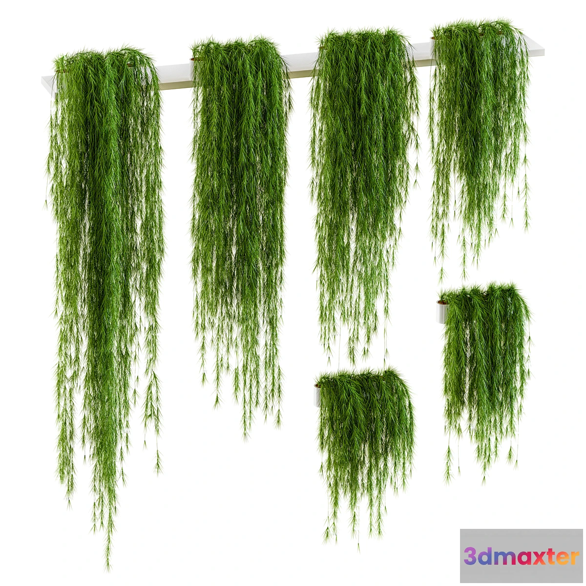 792640 - Plants for shelves. 6 items - No.2