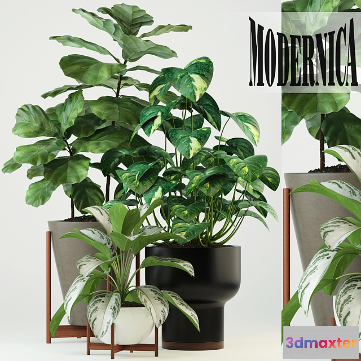 792724 - Plants collection 74 Modernica pots - No.2