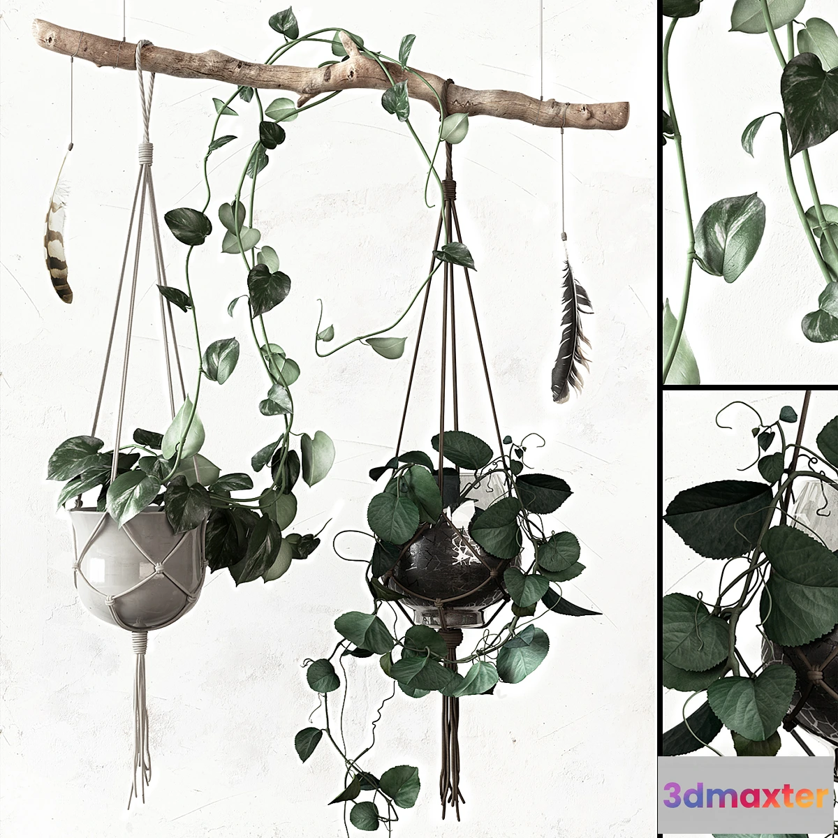 792738 - PLANTSET - No.2