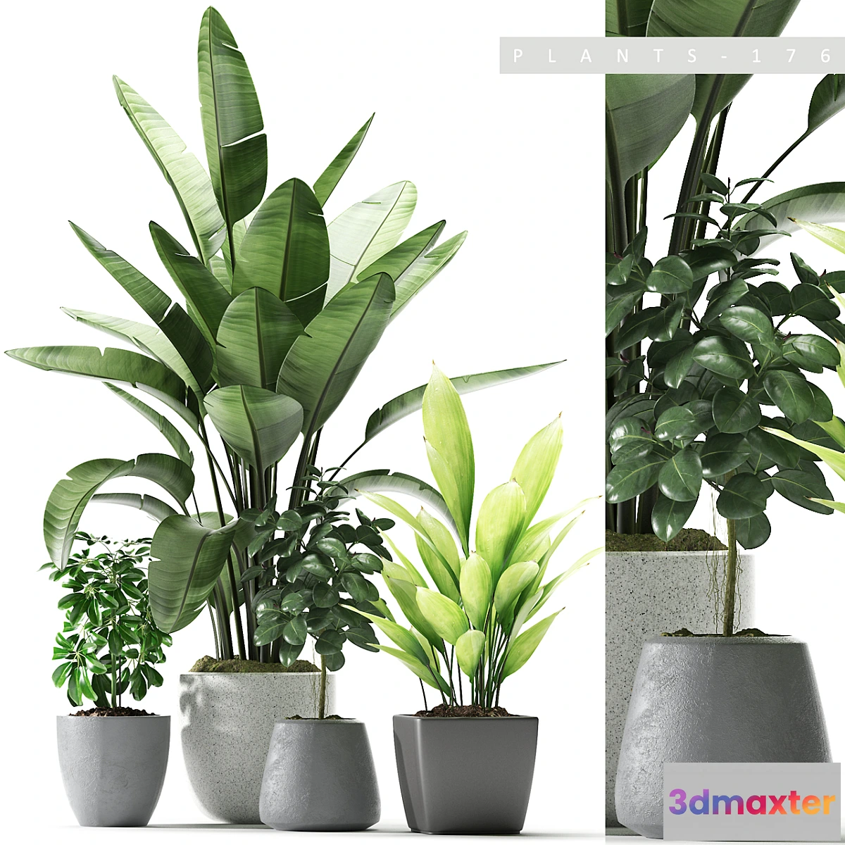 792740 - Plants 176 - No.2