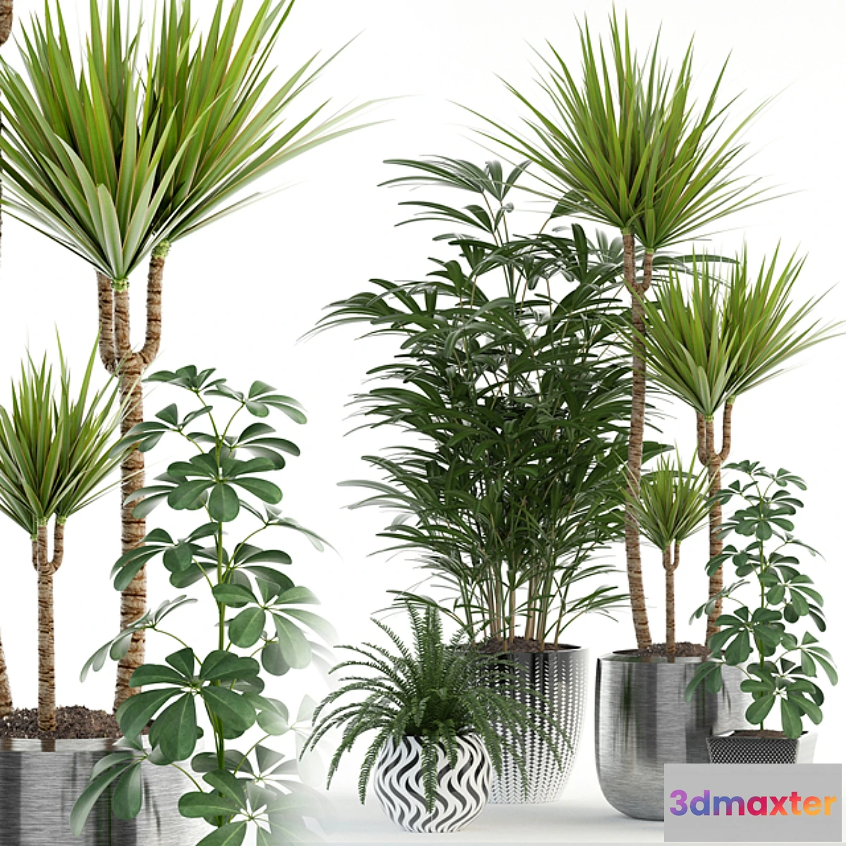 792776 - Plants collection 90 - No.2