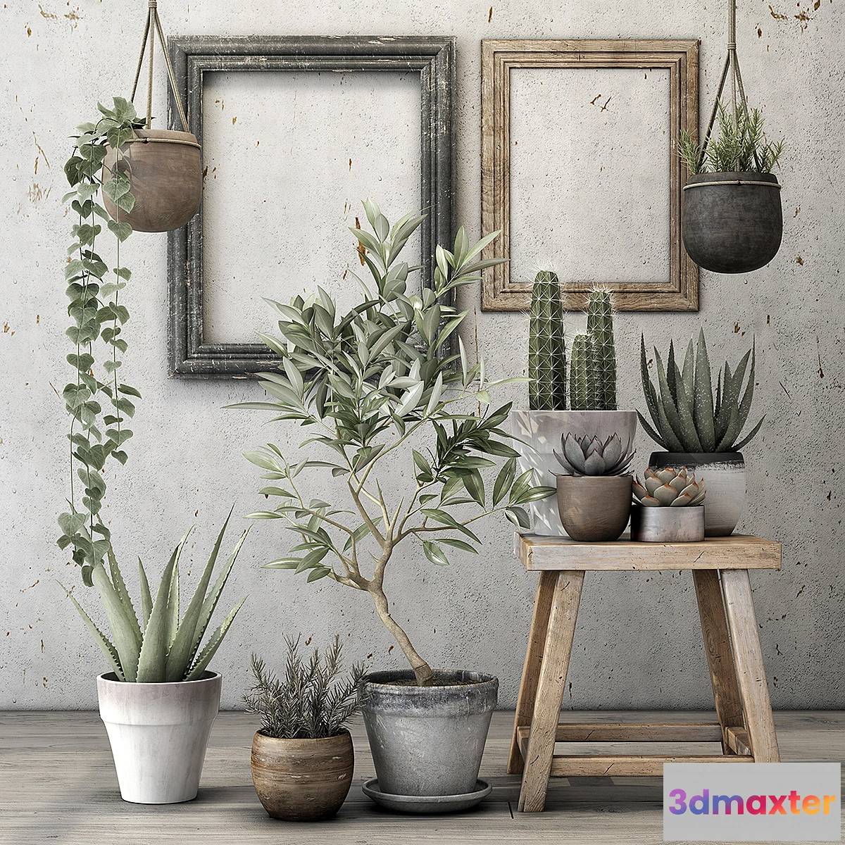 793838 - Decorative plant set - No.3