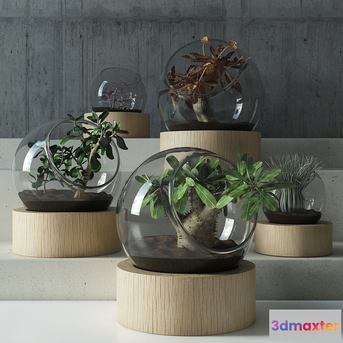 793976 - plant in glass - No.3