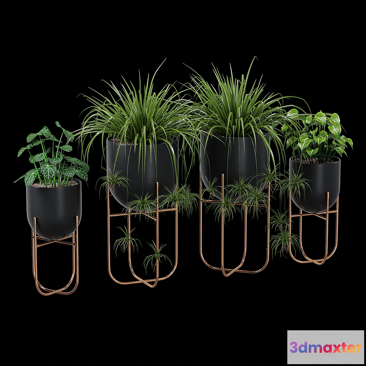 805838 - Cache - No.2