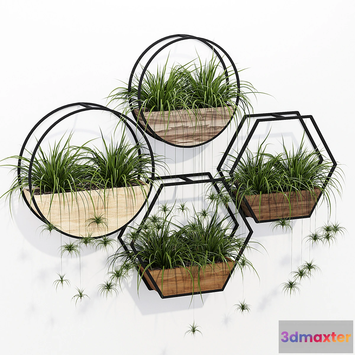 805896 - Aarush kaeden - No.3