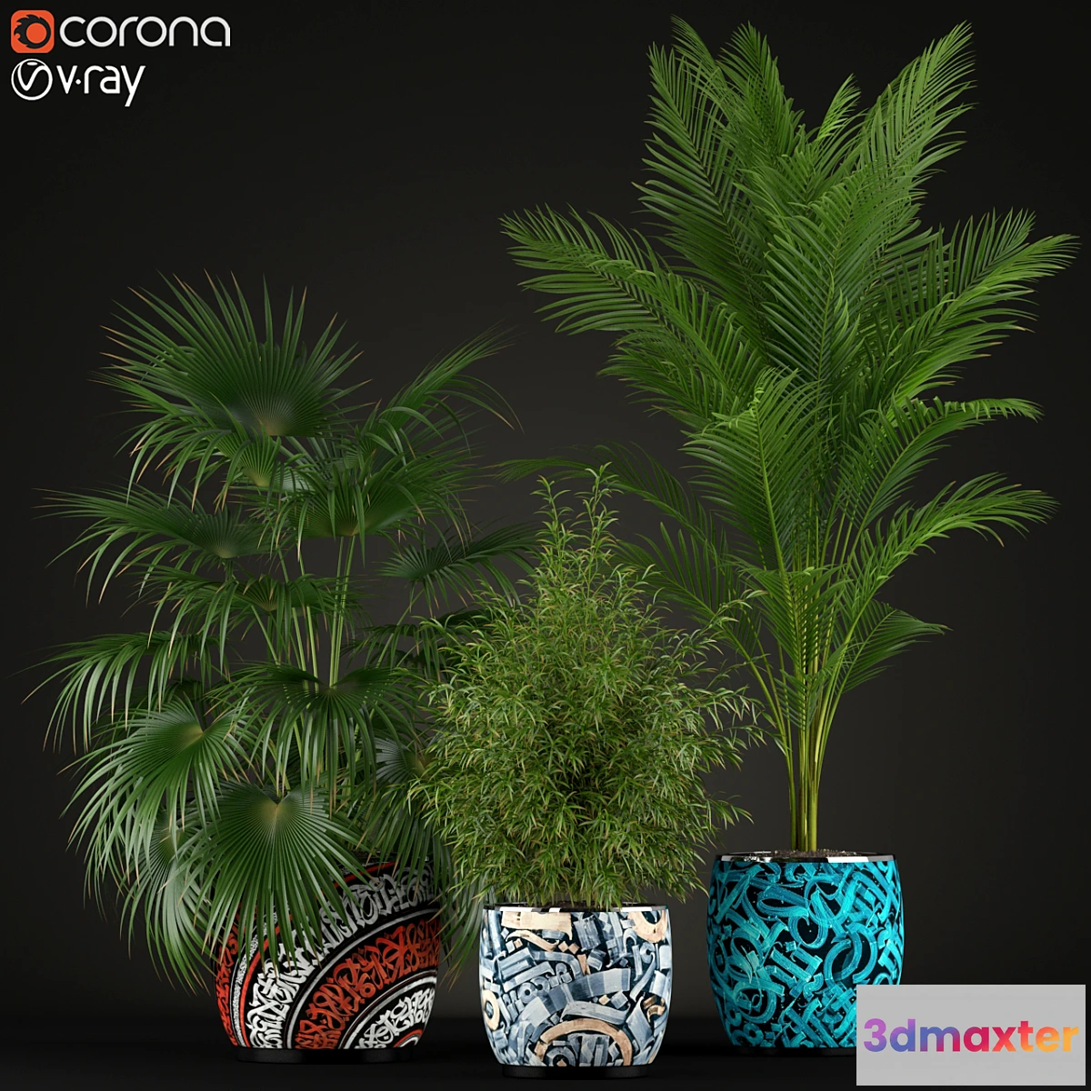 805900 - Plants collection 199 - No.2