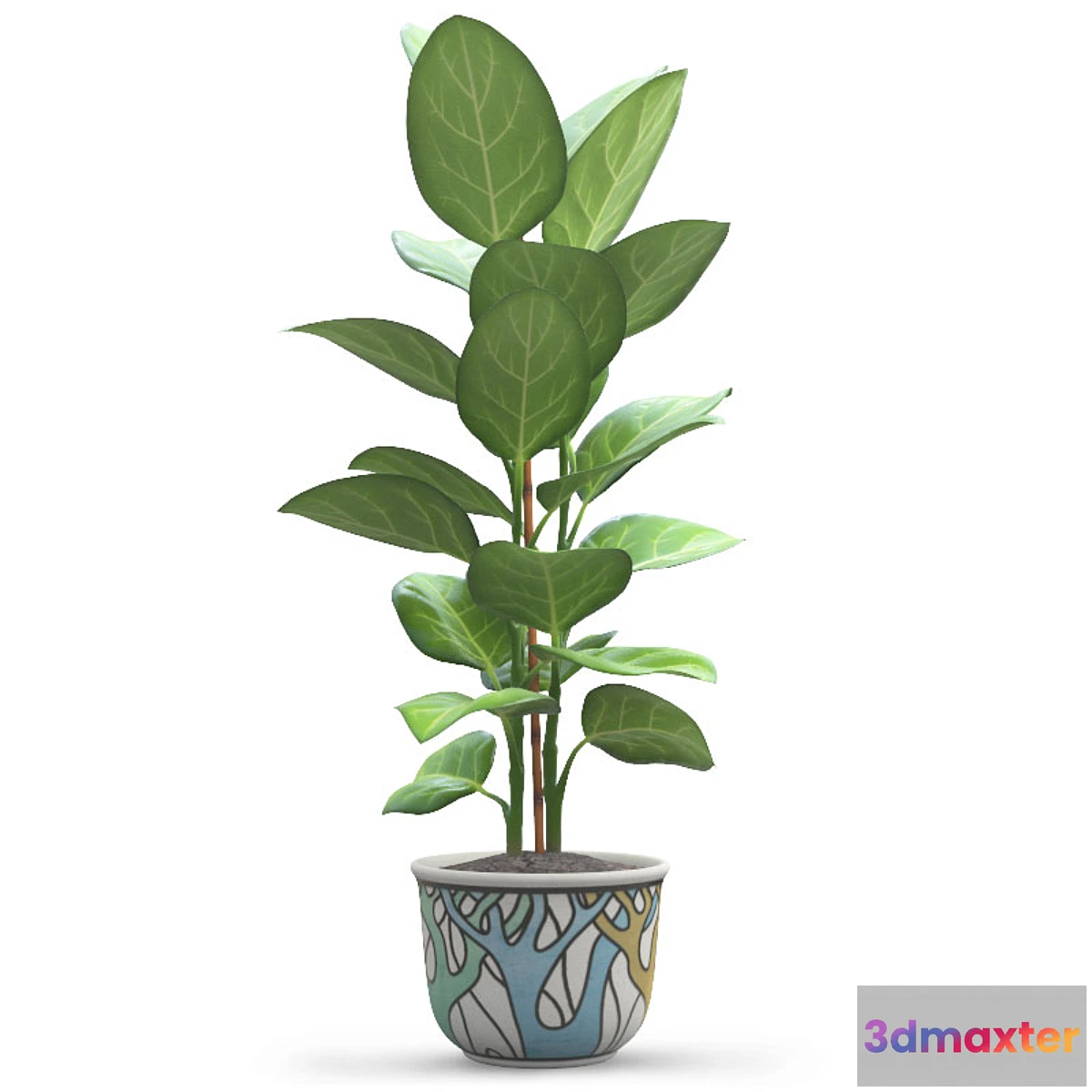 806704 - Andre Ficus - No.2