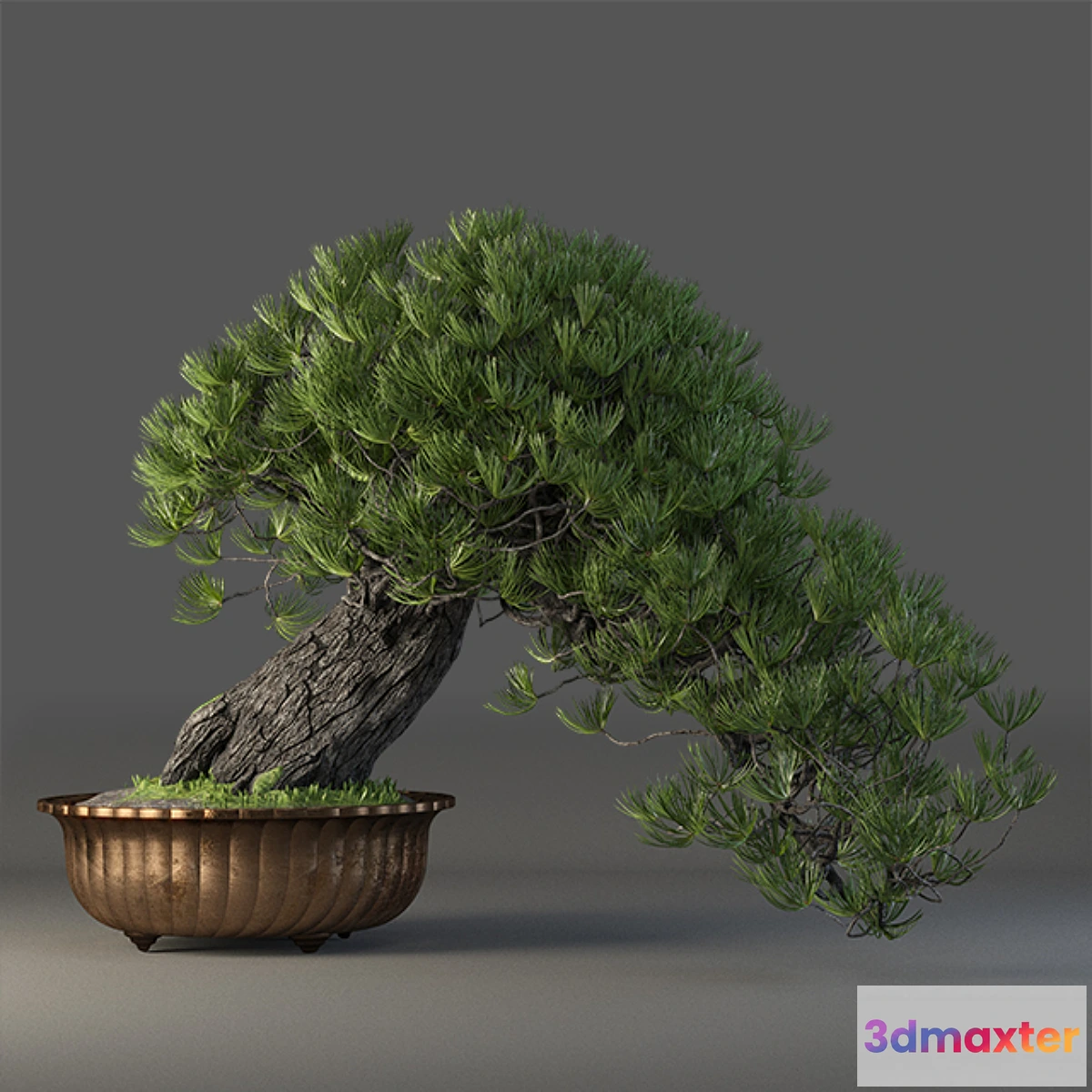 806716 - Bonsai - No.18