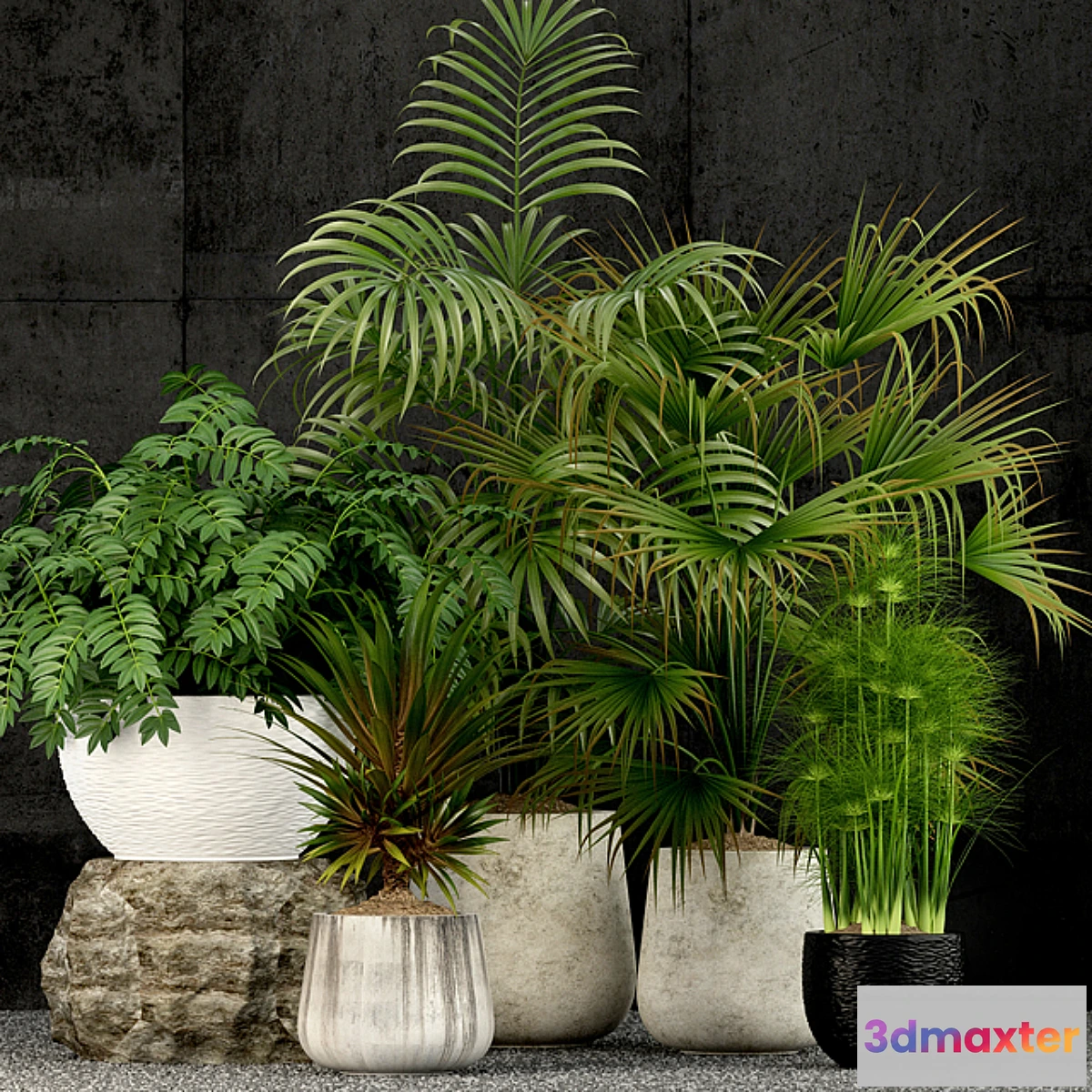 806744 - Plants collection 53 - No.3