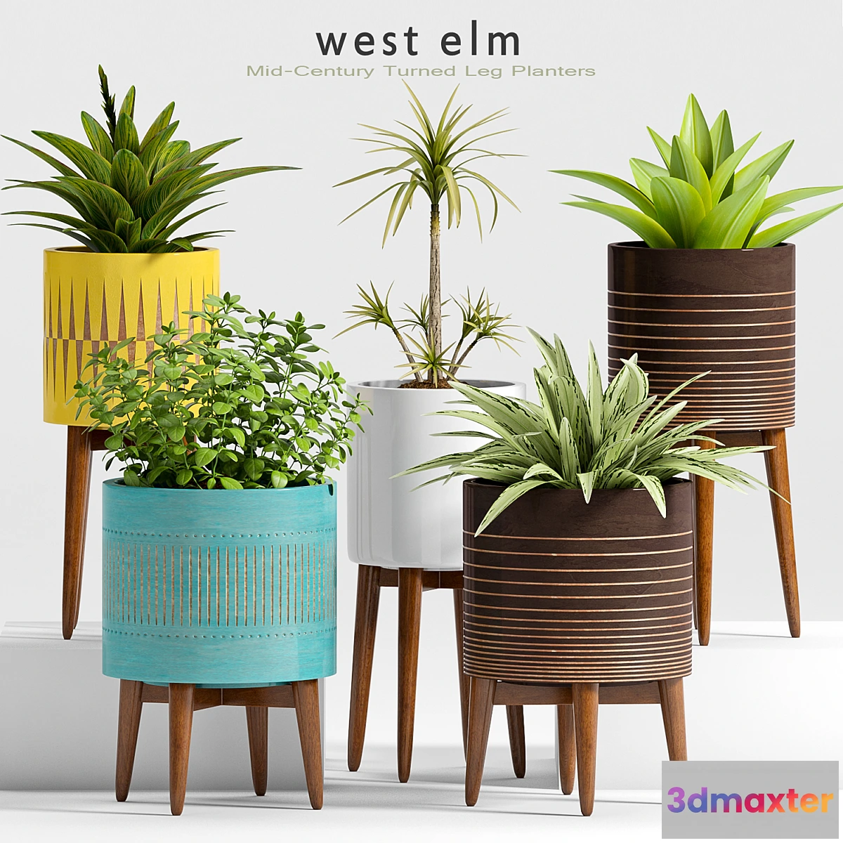 819438 - Plant Set -24 - No.4