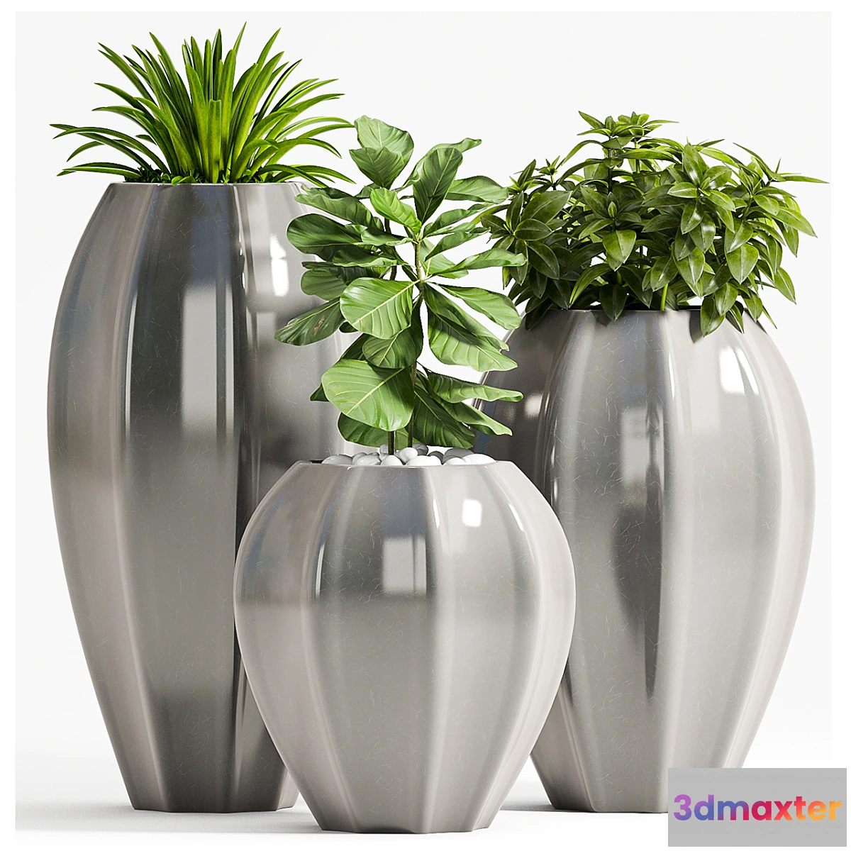 819458 - PLANT SET - 70 - No.3
