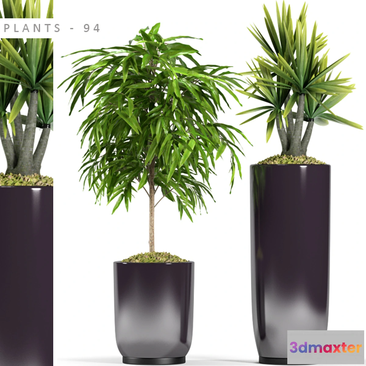 819464 - PLANTS 94 - No.4