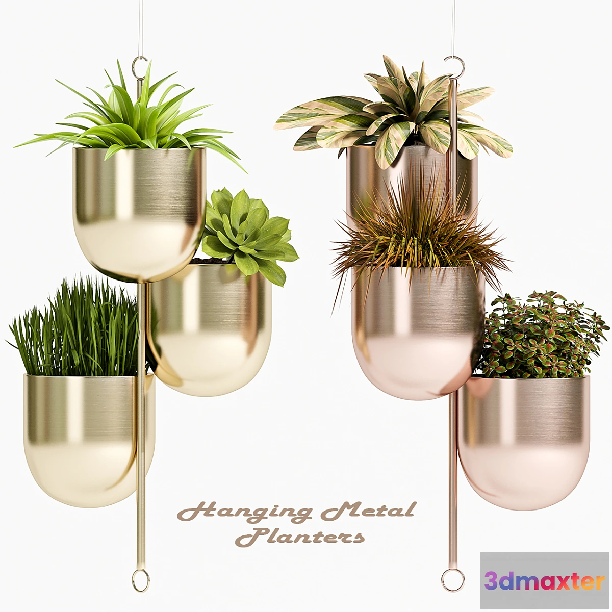 819498 - PLANT SET -79