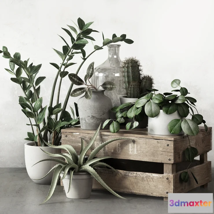 819586 - PLANTSET 2 - No.2