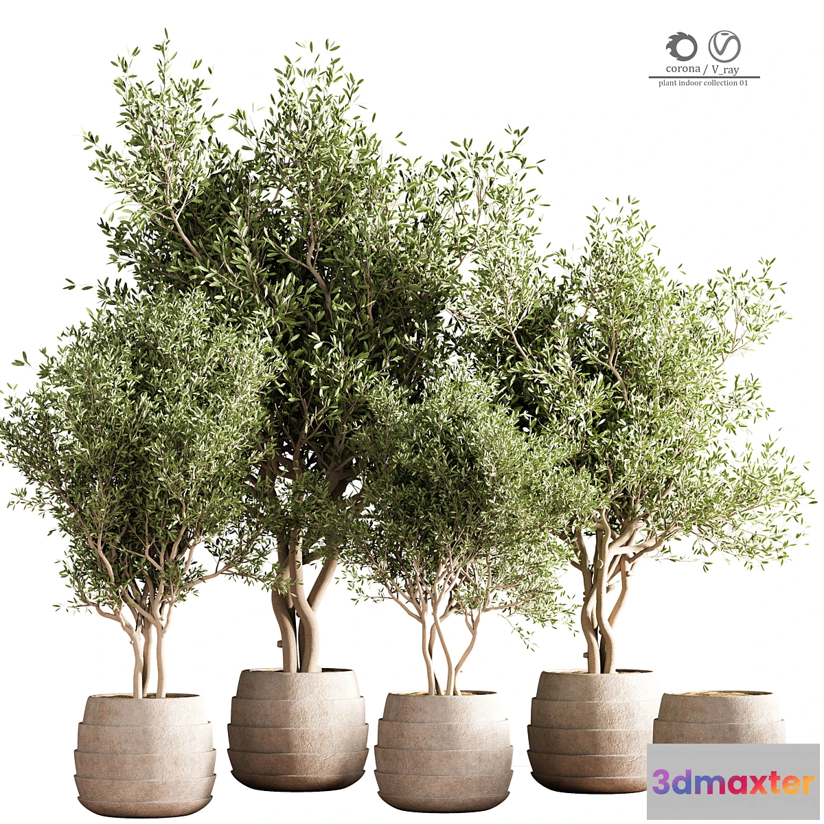 842151 - indoor plant stand 40 - No.5