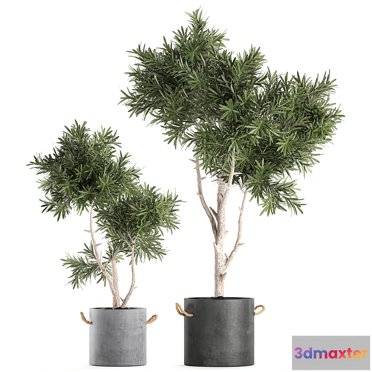 845461 - Decorative small tree in a black concrete pot topiary. Set 741. - No.3