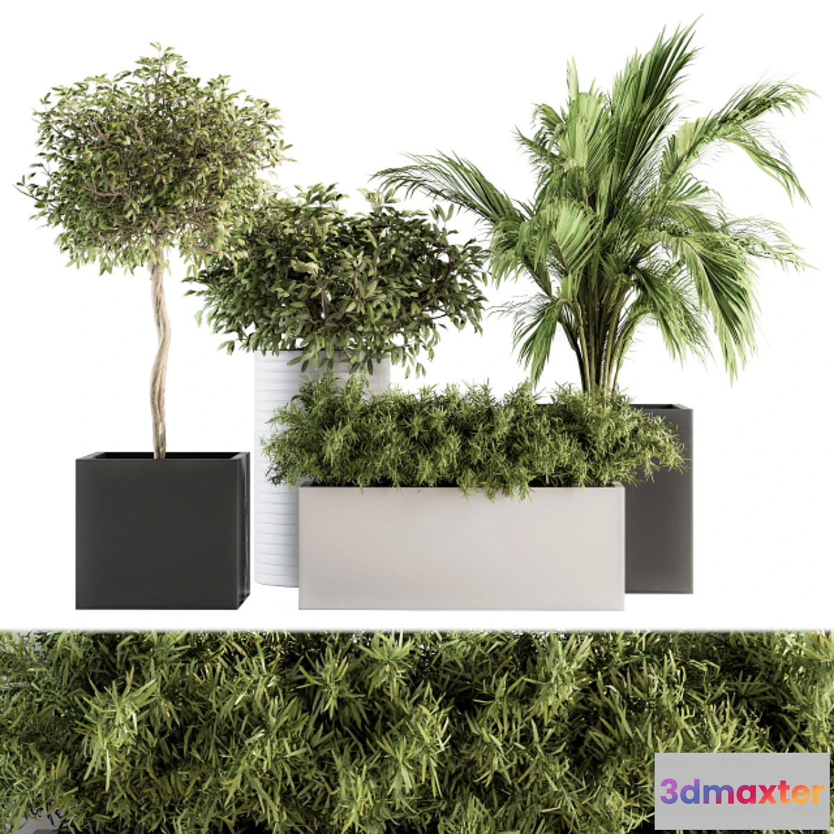 845497 - indoor Plant Set 188 - Plant Boxes - No.3