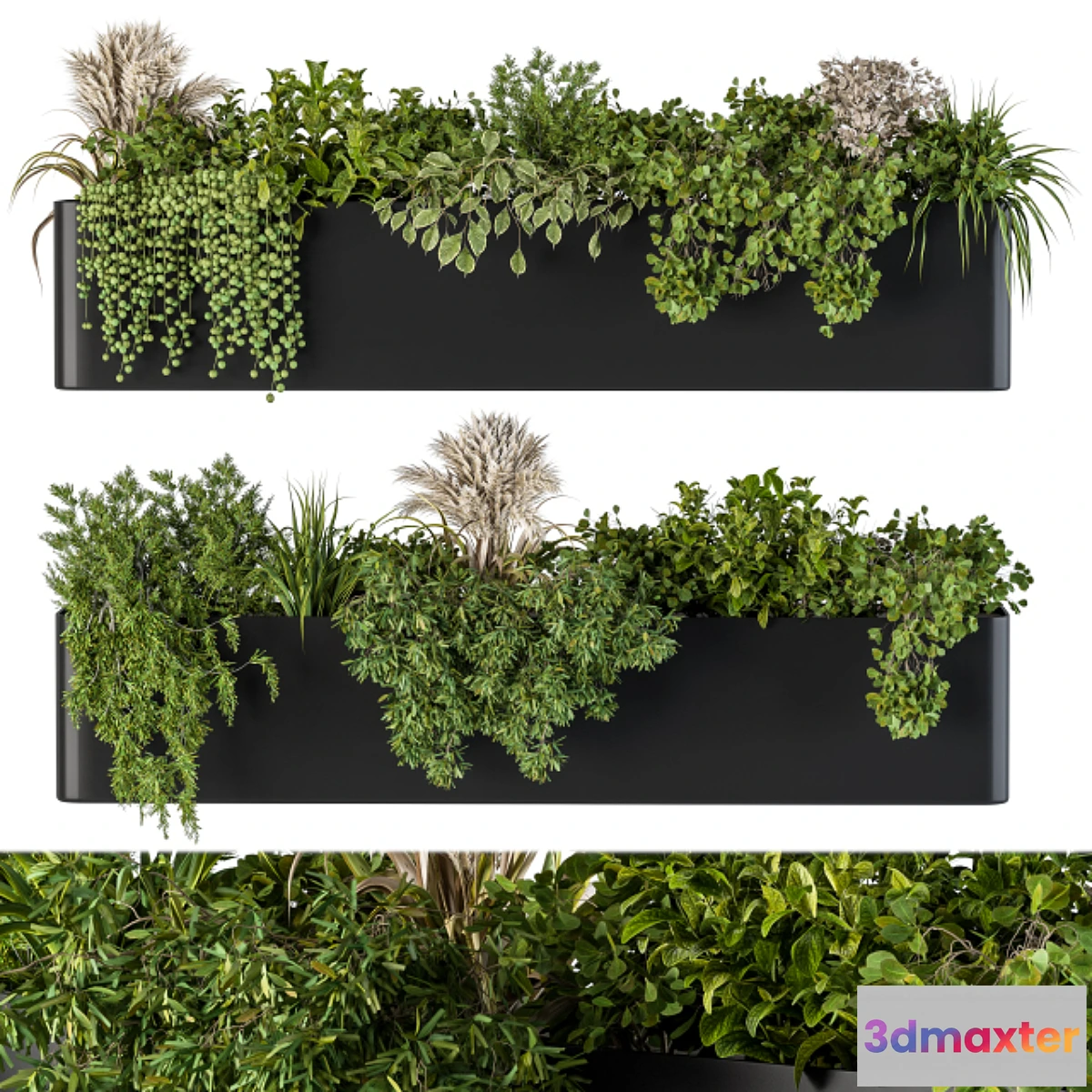 845515 - Plant Box on Wall 04 - No.3