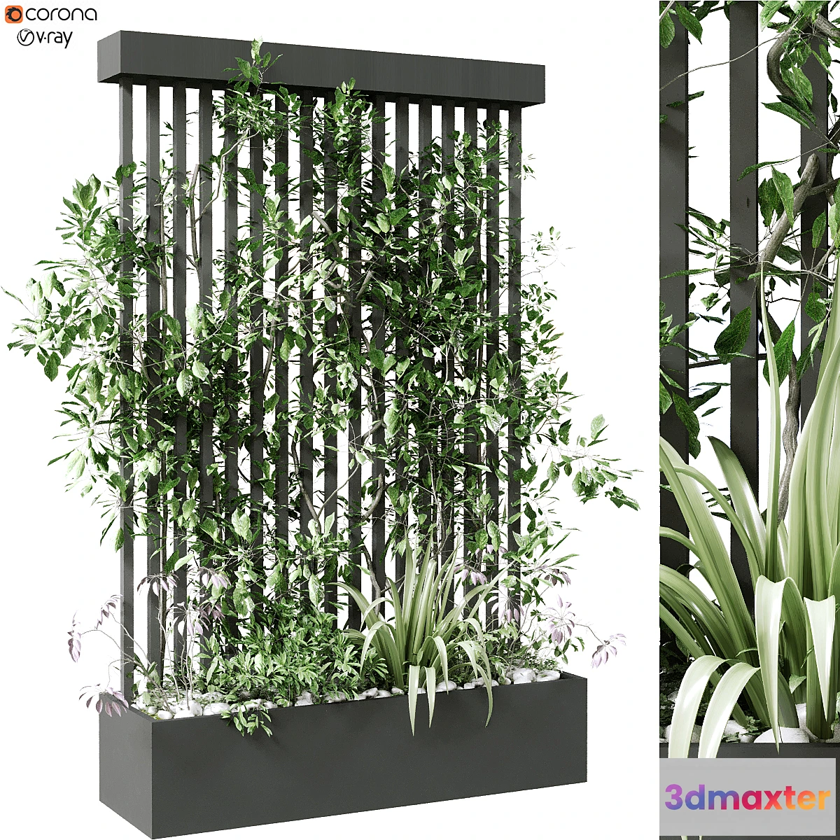 845519 - vertical plant in box set 124 - No.5