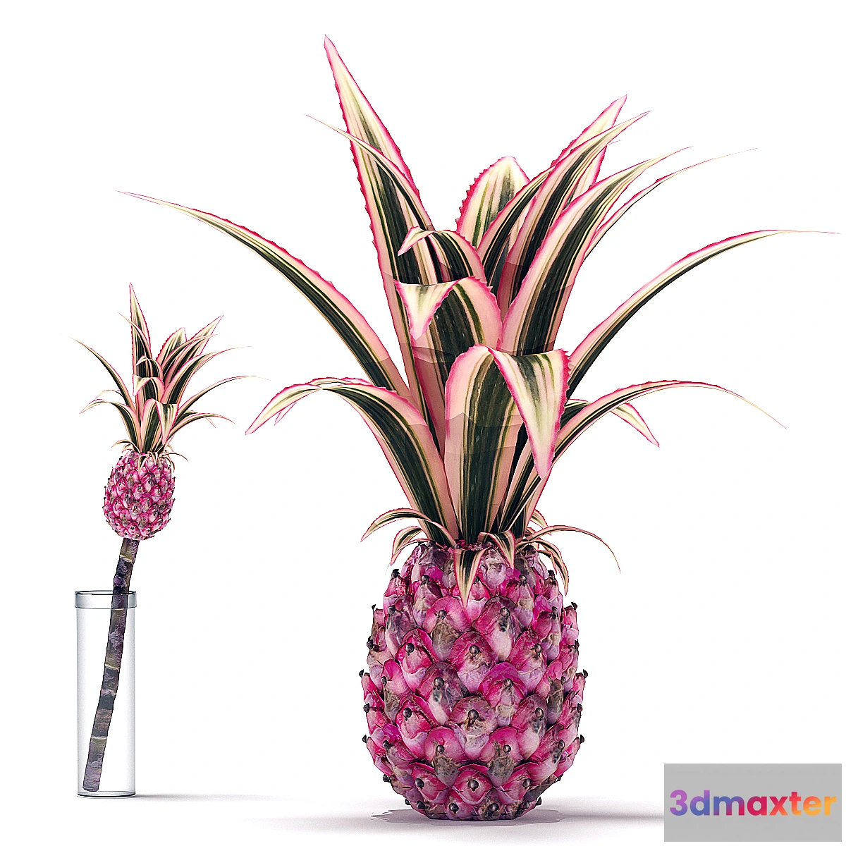 845543 - Decorative Pink Pineapple - No.3