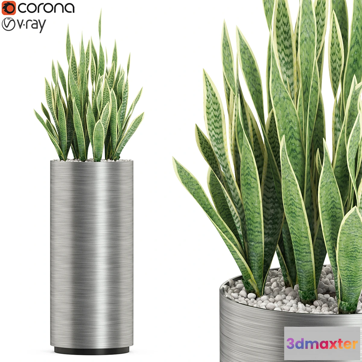 845607 - Plants collection 506 - No.3