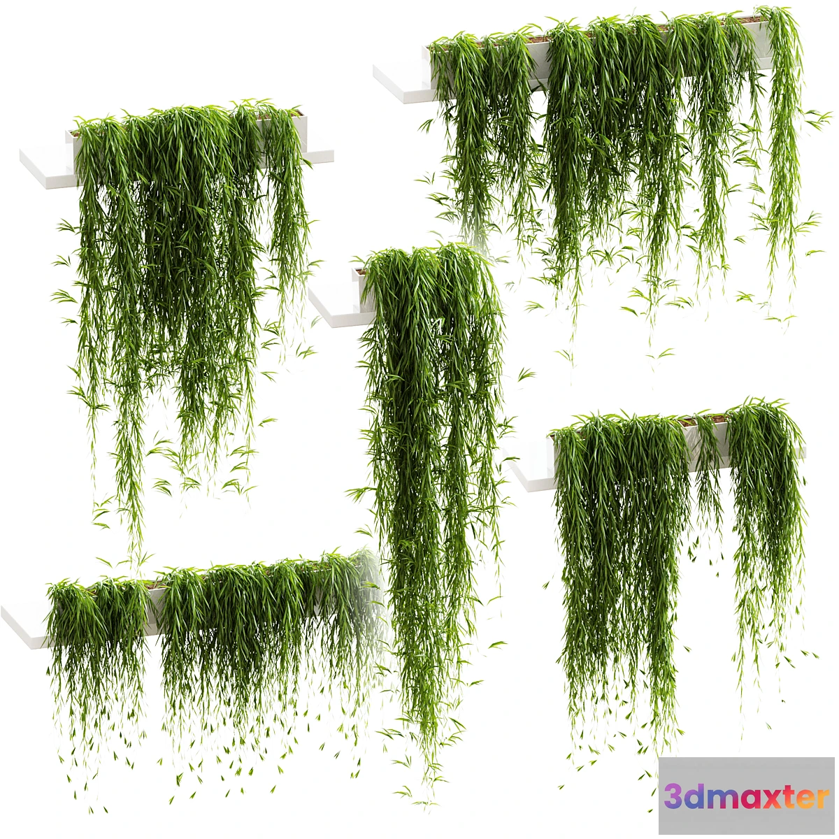 845657 - Hanging plants for shelves. 5 models. set 3 - No.3
