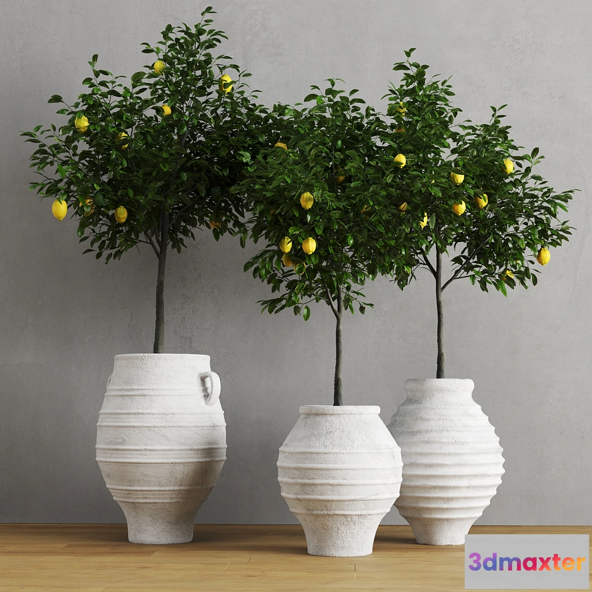 845679 - Lemons in clay pots - No.3