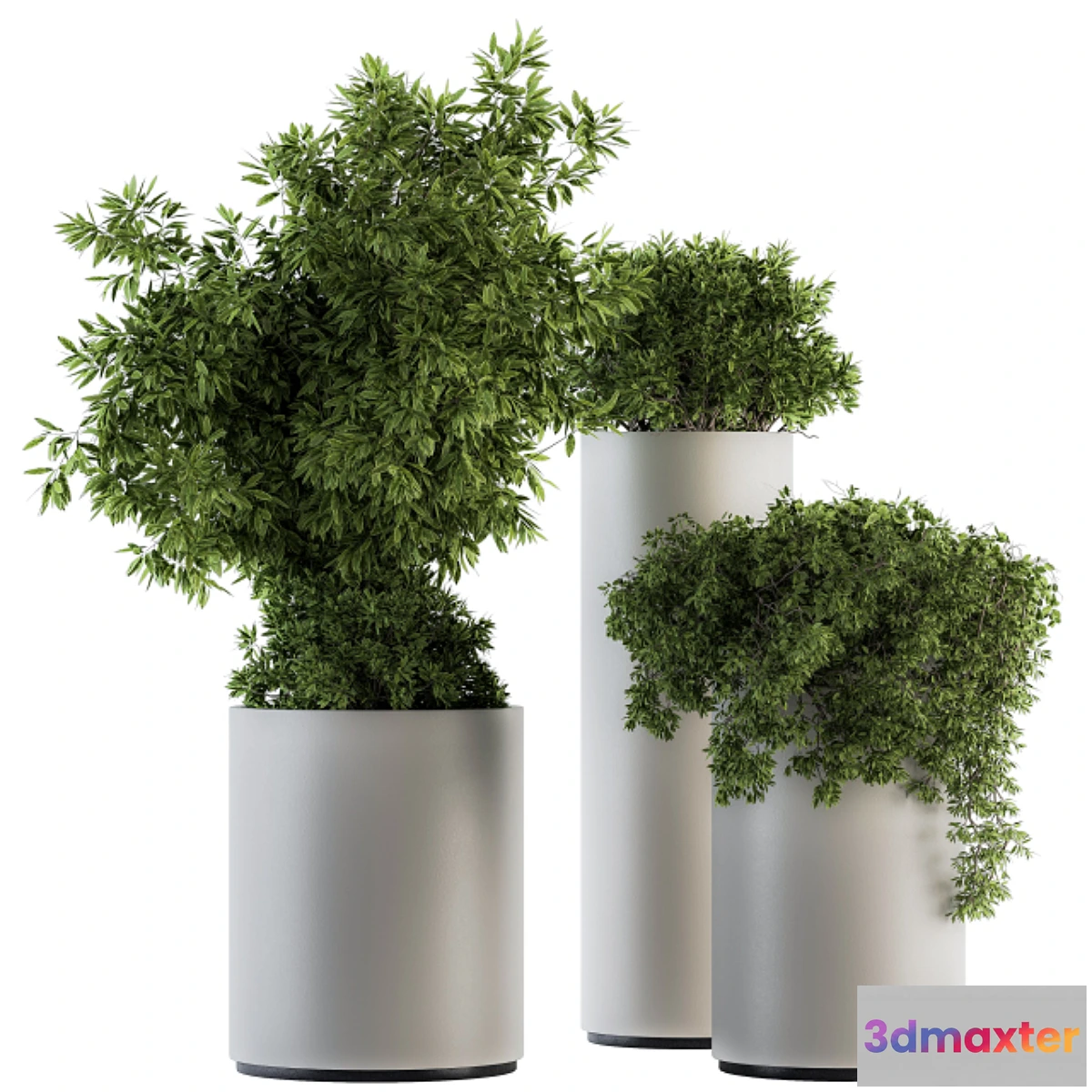 845739 - indoor Plant Set 120 - Green and White Set - No.3