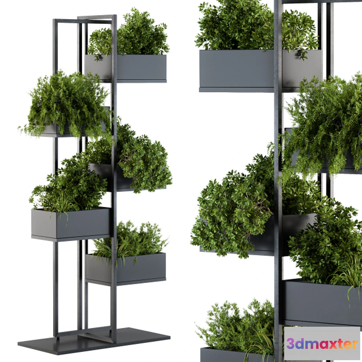 845755 - Black Box Plants on stand 03 - No.3