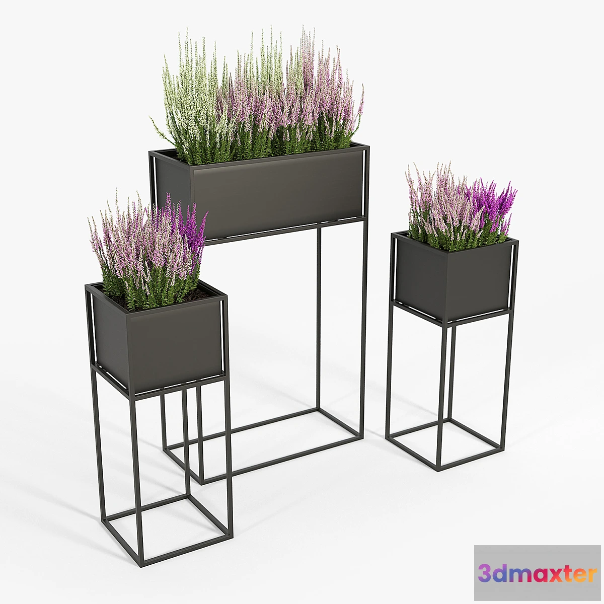 845763 - Heather - No.3