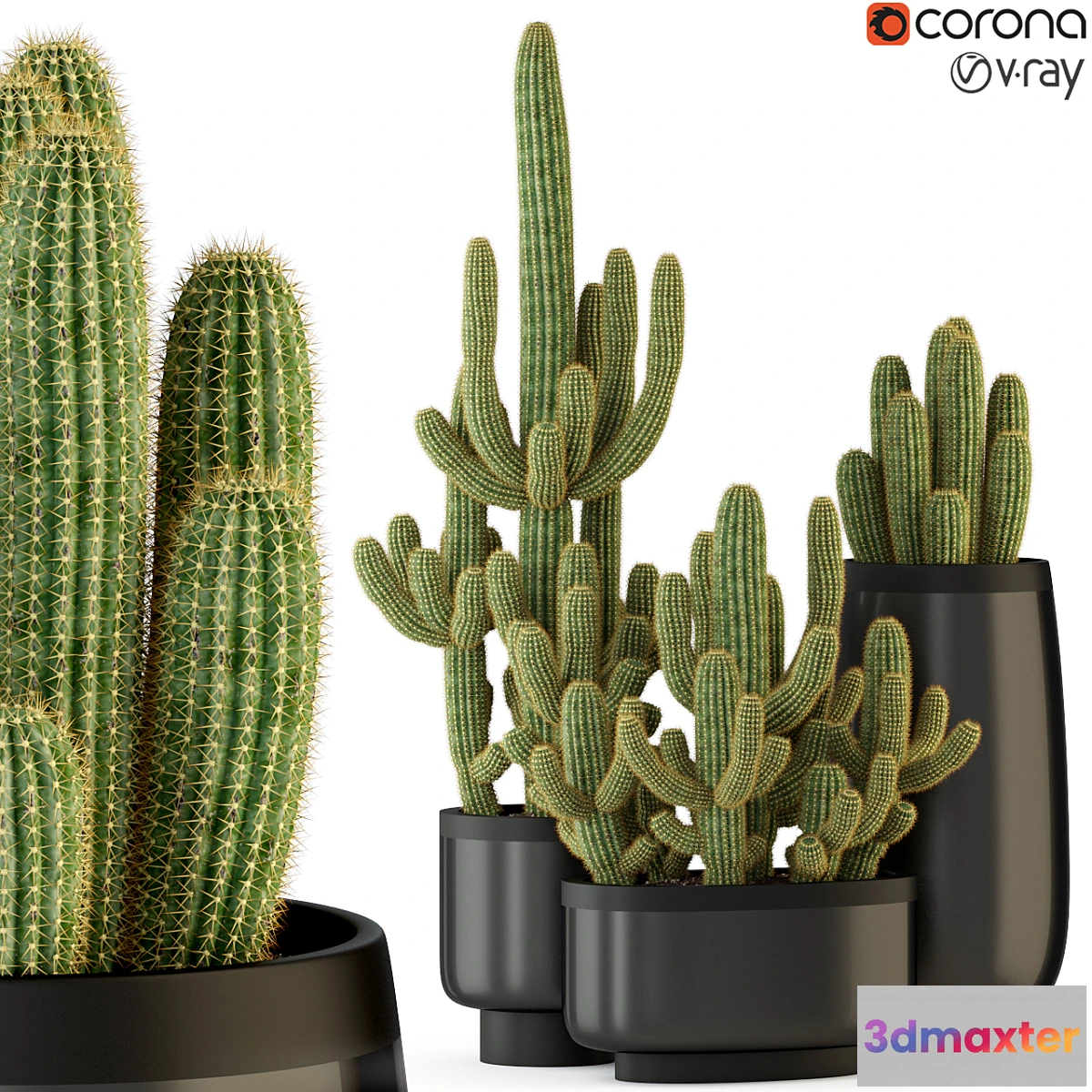 845799 - Plants collection 317 - No.3