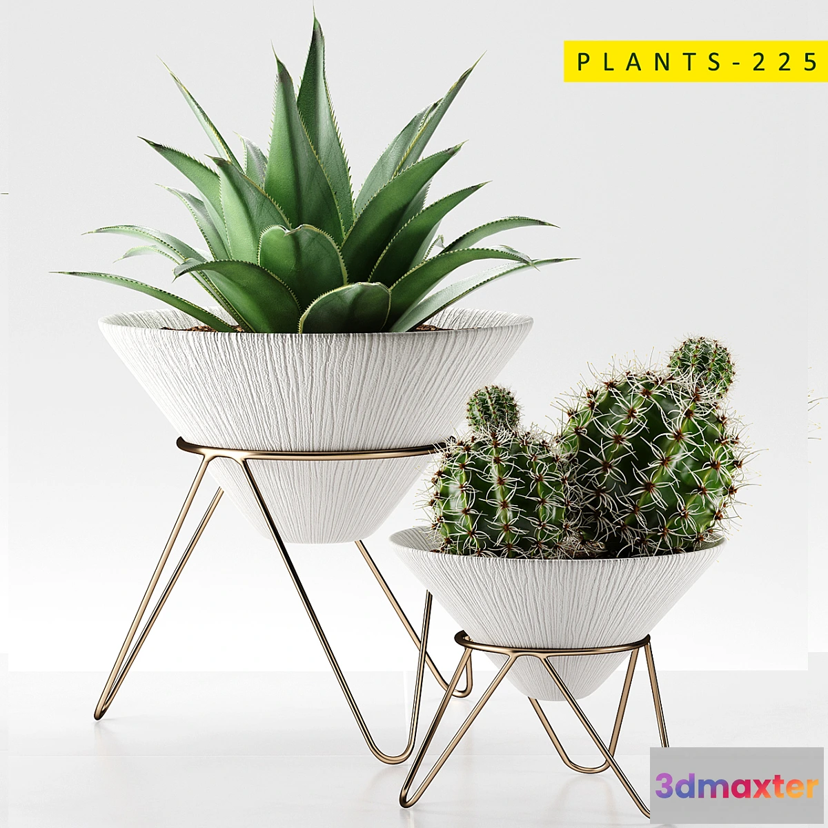 845849 - plants 225 - No.3