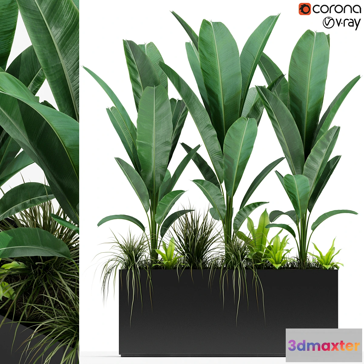 845857 - Plants collection 150 - No.3