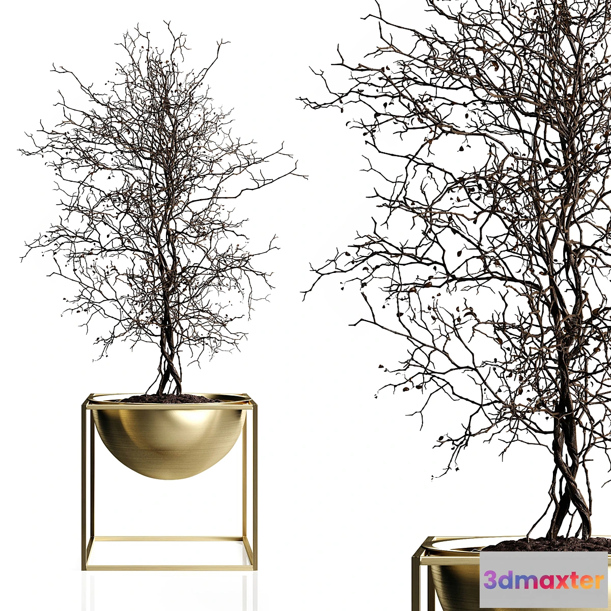 845867 - Branching tree - No.3