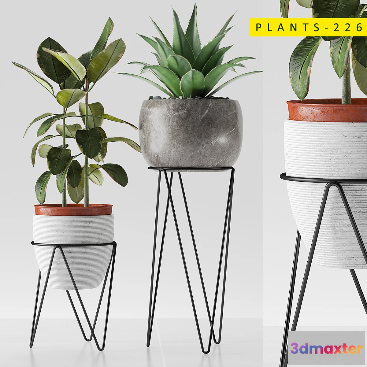 845885 - plants 226 - No.3