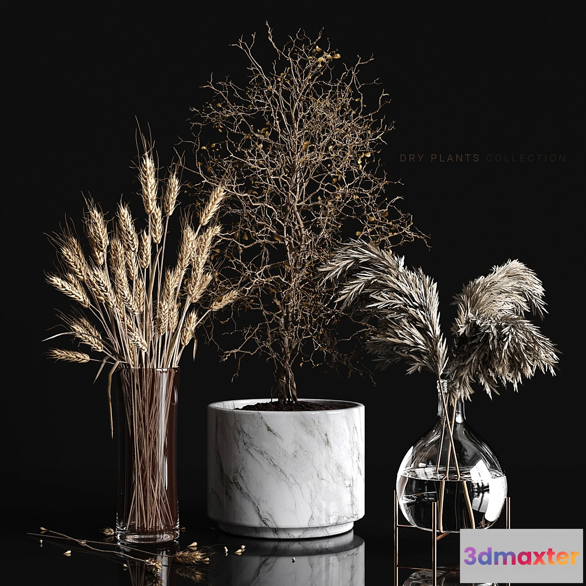845949 - Dry plants collection - No.5