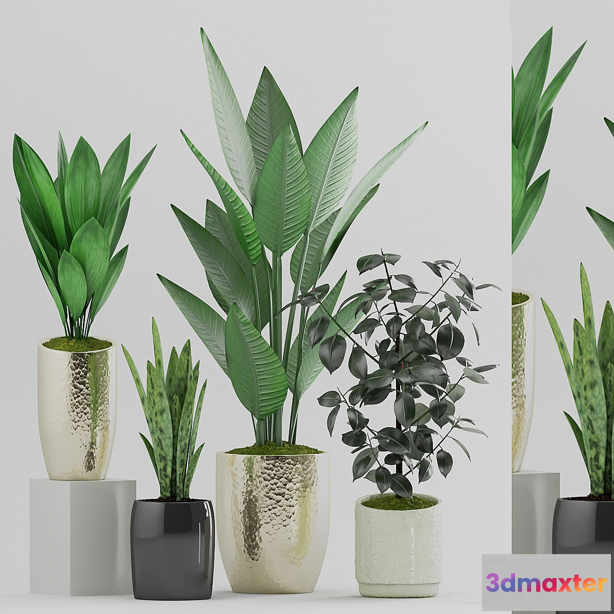 845951 - Plant 89 - No.3