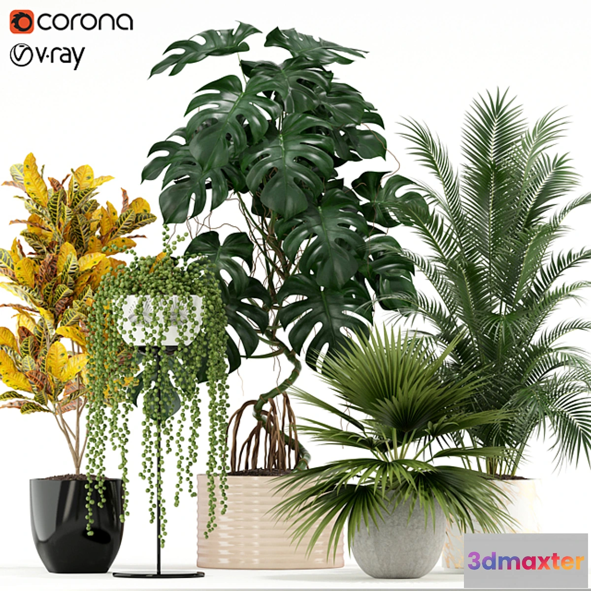 845963 - Plants collection 124 - No.3