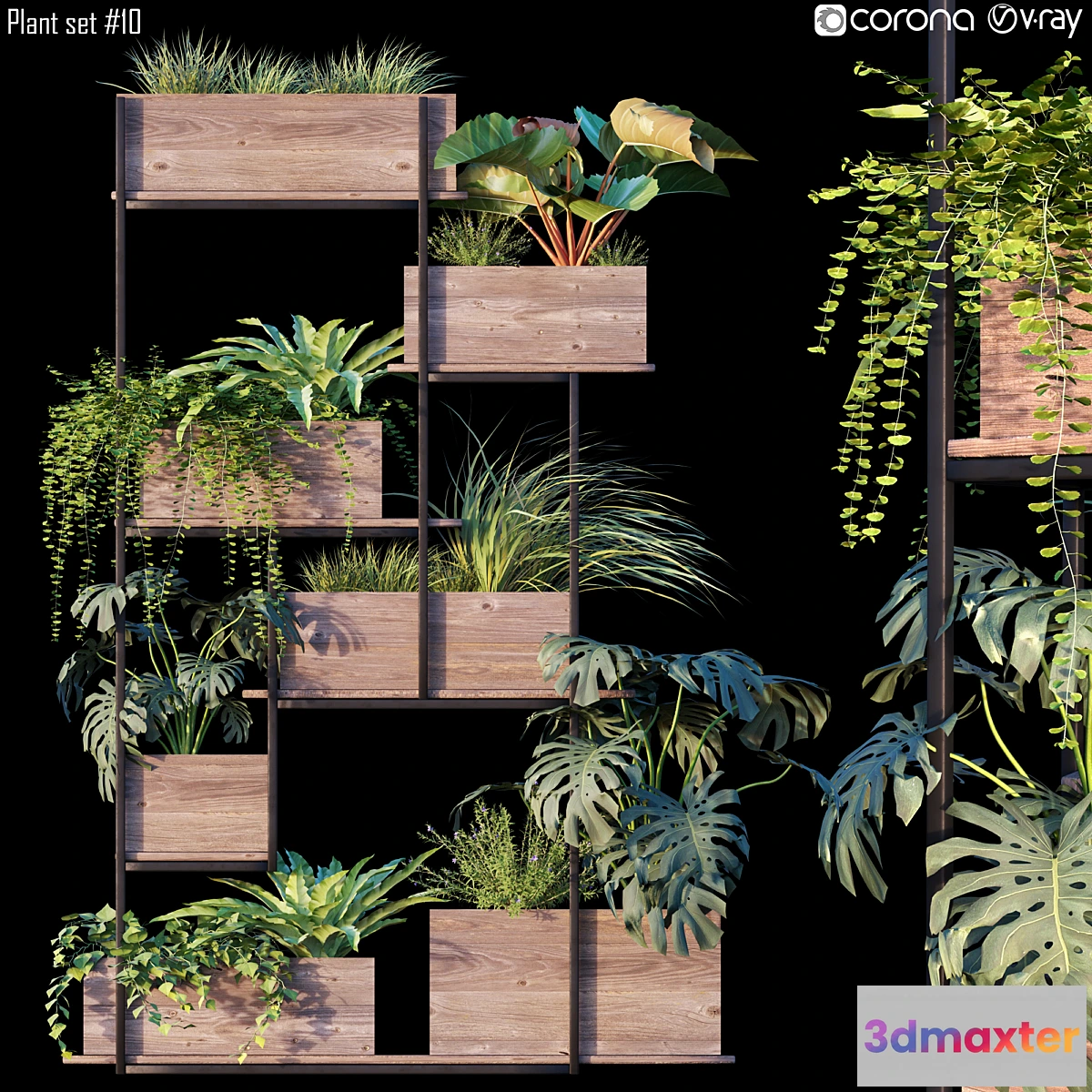 846035 - Plant set # 10 - No.5