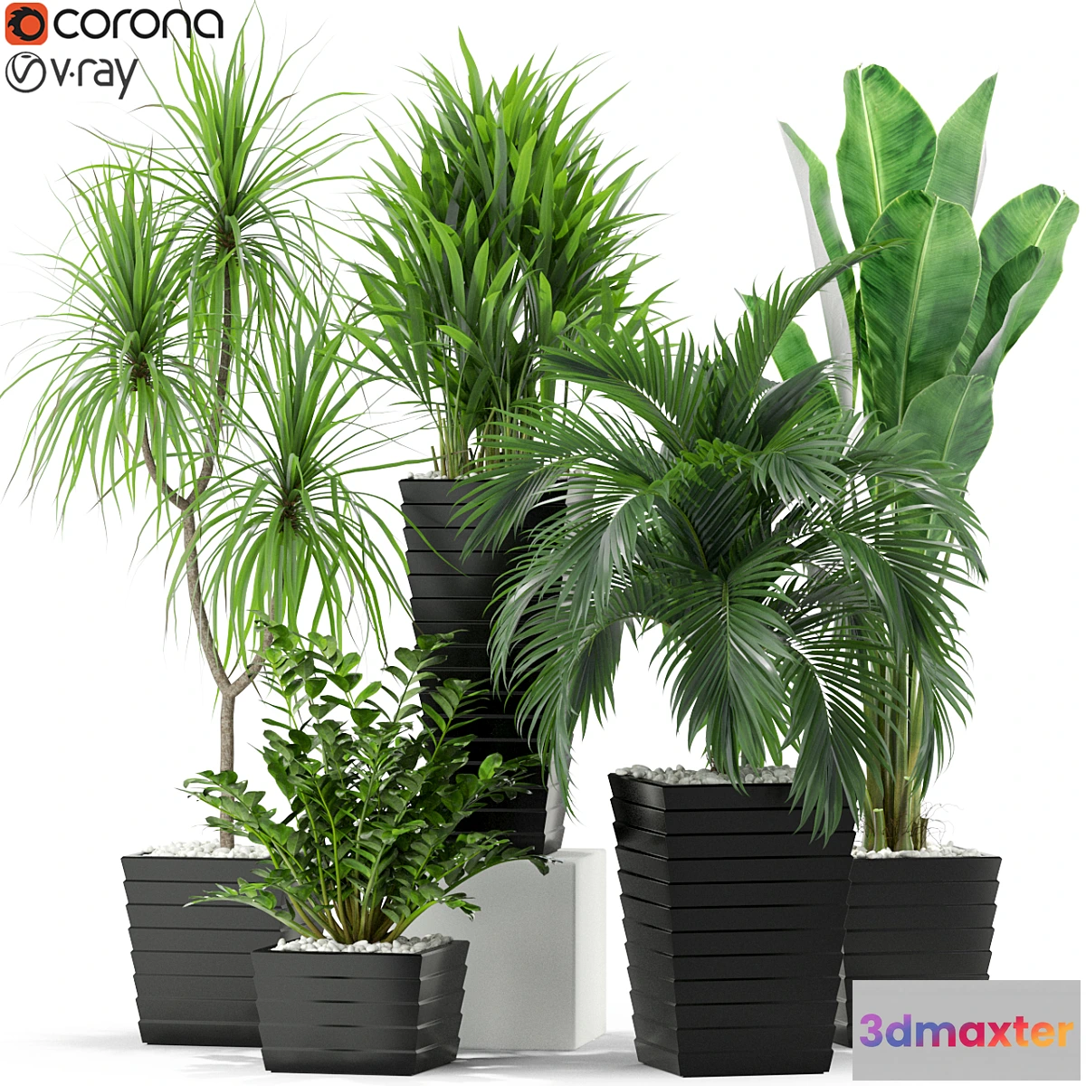 846113 - Plants collection 371 - No.3