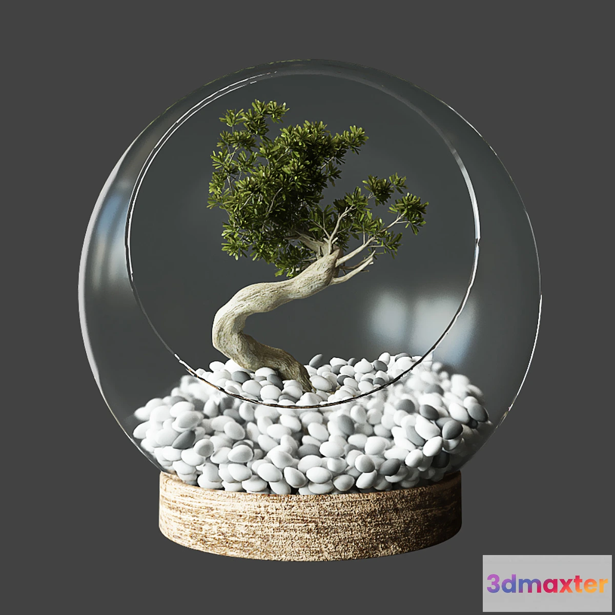 846137 - Little Tree In Glass Globe - No.6