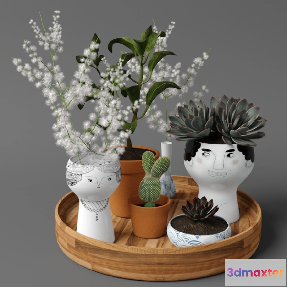 846163 - Plants tree 41 - No.4