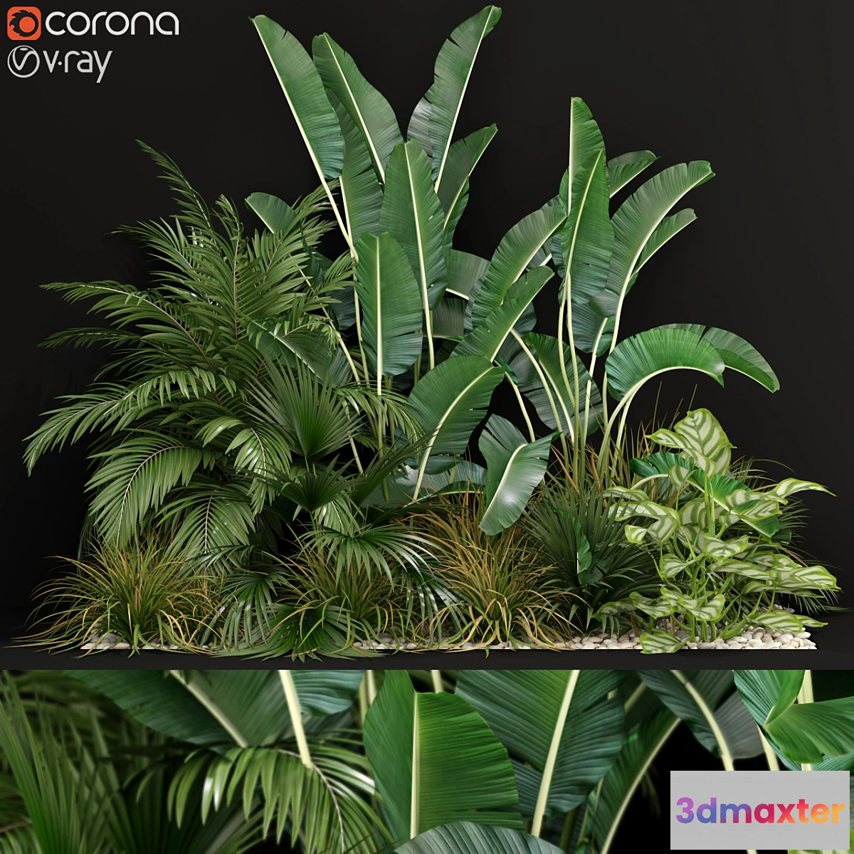 846179 - Plants collection 237 - No.3