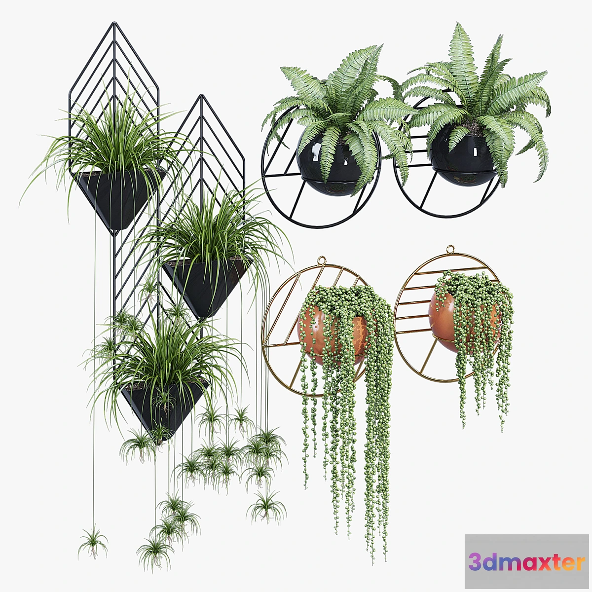 846215 - Fegan dayne - No.3