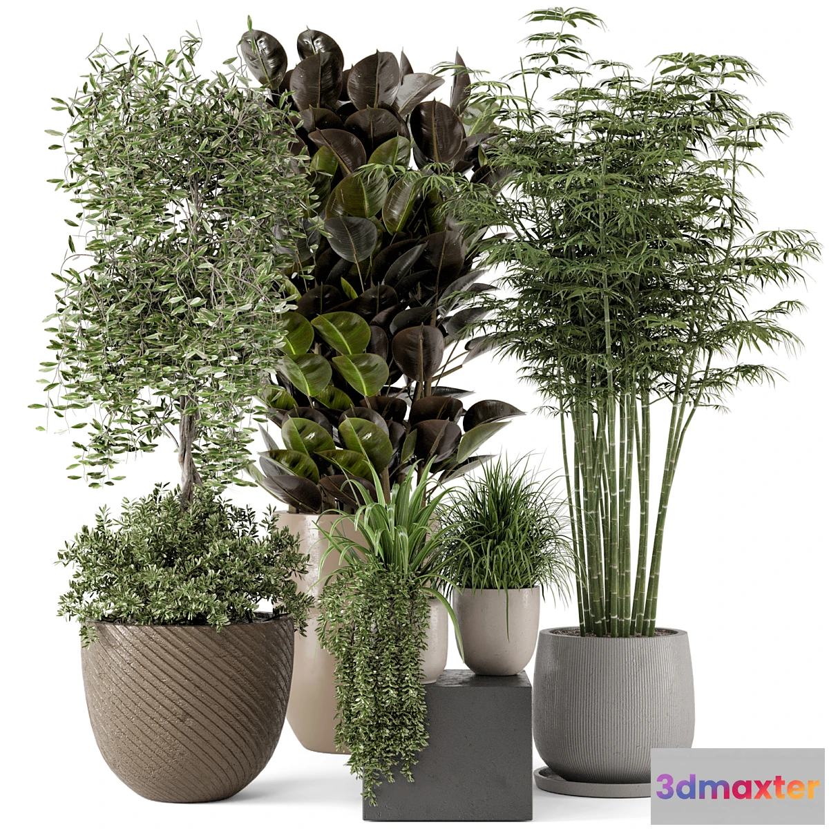 856461 - Indoor Plants in rusty Concrete Pot - Set 229 - No.5