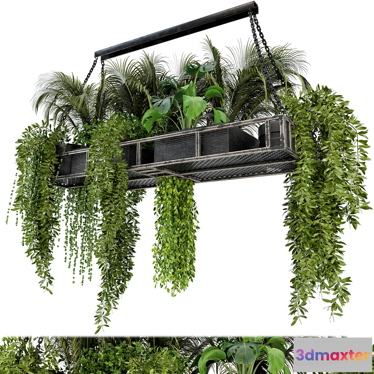 856469 - Indoor Hanging Plants in Metal Box - Set 71 - No.3