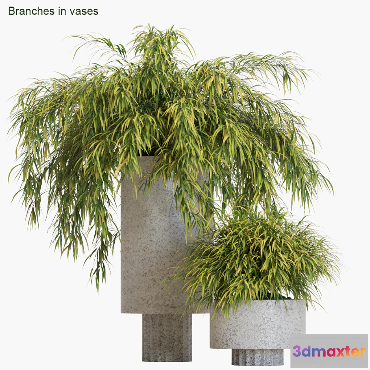 856579 - Branches in vases # 14 Hakonechloa - No.3