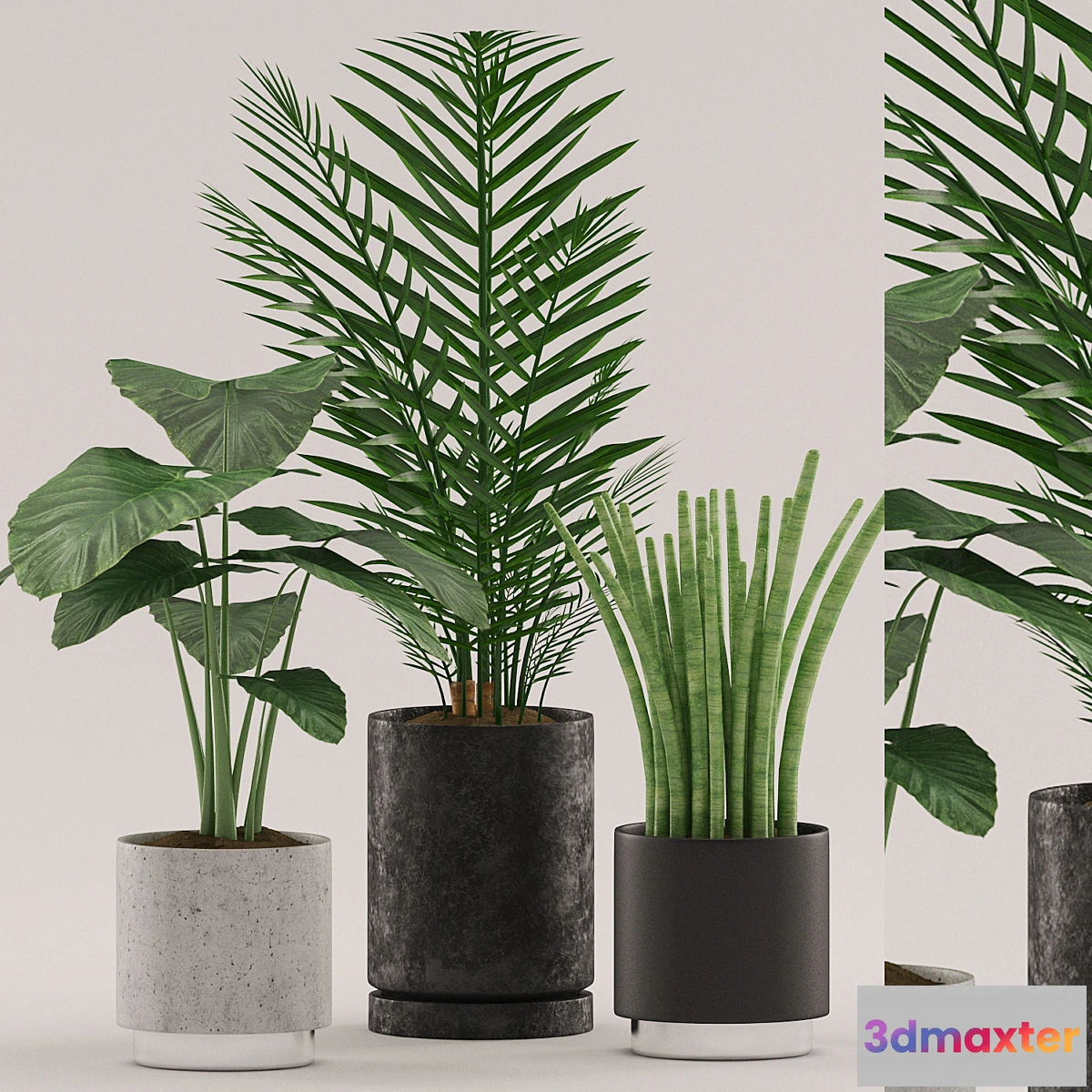 856591 - Plants 108 - No.5